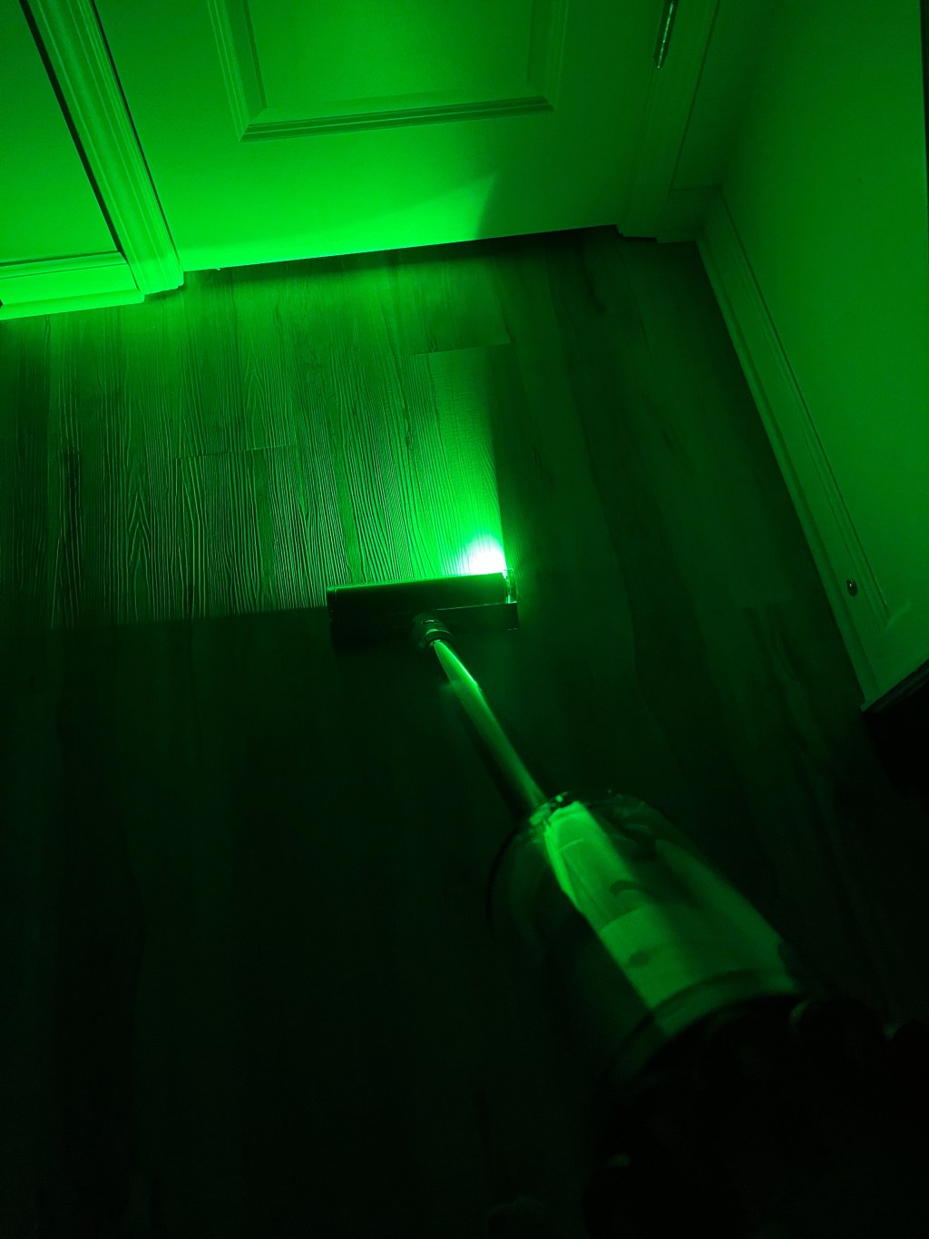 The “Incident” That Led Us to Buying a Dyson Detect (Robot Vacuum Disaster)